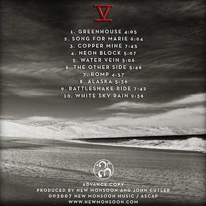 New Monsoon V http://www.newmonsoon.com/wp-content/uploads/2013/07/v_back_420.png